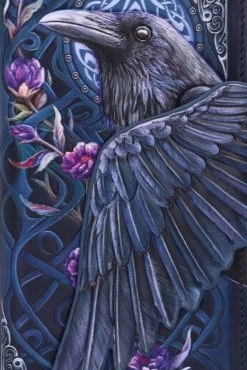 "Raven's Flight" Wallet By Nemesis Now -Fashion Lady Clothing Shop 506891d